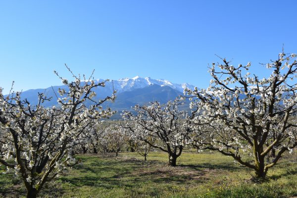 Πιερία: Mε δυνατά χαρτιά Όλυμπο και ακτογραμμή μπαίνει δυνατά στον τουριστικό χάρτη