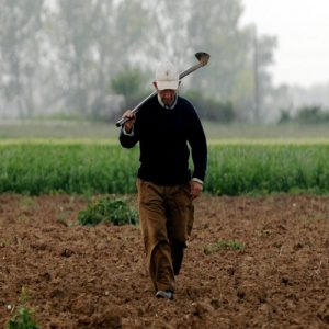 Αγροτικό ρεύμα: Υποχρεωτική μετάπτωση των αγροτών στο τιμολόγιο «Γαία»