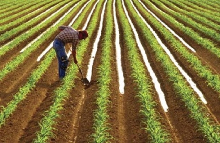 ΥπΑΑΤ: Διευκρινίσεις για τη χορήγηση βεβαιώσεων εγγραφής στο Μητρώο Αγροτών