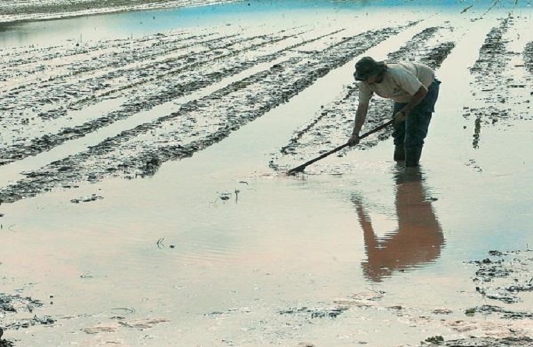 ΕΕ: Τι ισχύει για τις ενισχύσεις αγροτών σε περιπτώσεις έκτακτων καιρικών συνθηκών
