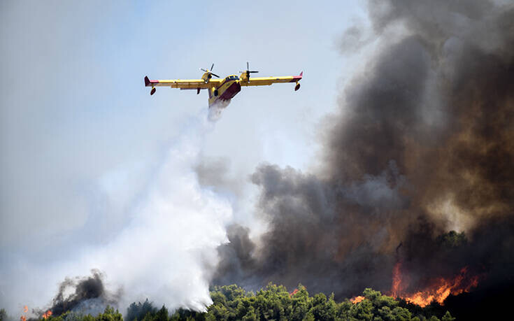 Καύσωνας: Πολύ υψηλός κίνδυνος πυρκαγιάς την Τετάρτη – H προειδοποίηση της Πολιτικής Προστασίας