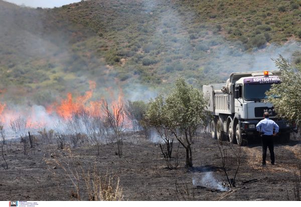 τεχνητή νοημοσύνη