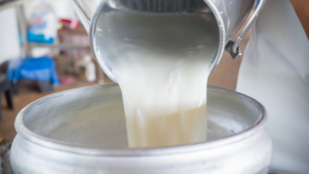 Συνδεδεμένες ενισχύσεις: Τα ποσά για το γάλα στα μικρά νησιά Αιγαίου