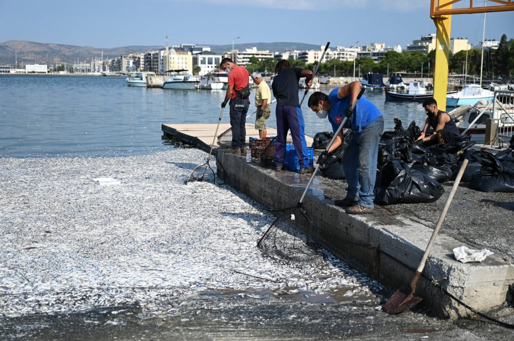 Bόλος: 4 μέτρα στήριξης των επιχειρήσεων