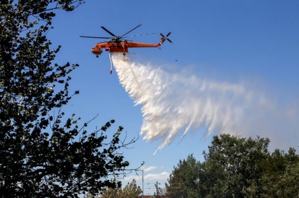 Φωτιά: Καίει δασική έκταση στα Ιωάννινα