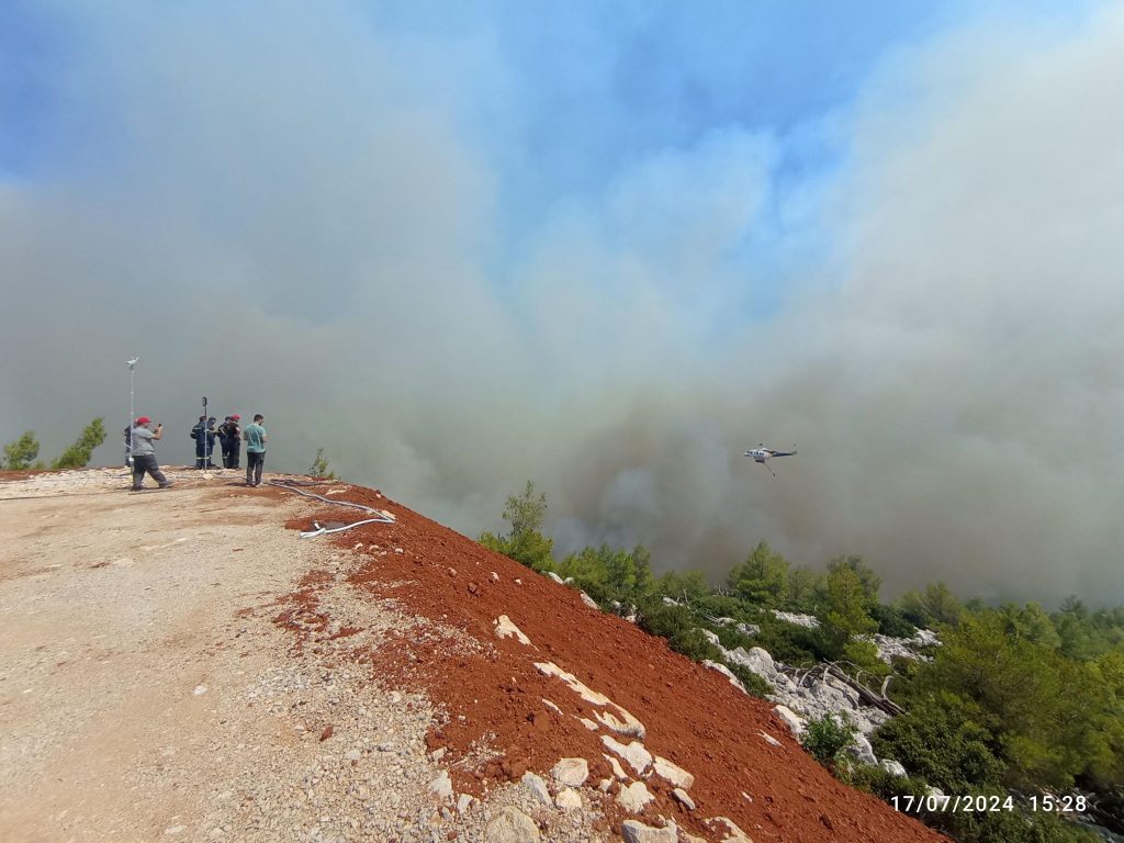 Αιολικά πάρκα: Πώς συμβάλλουν στην προστασία του δάσους