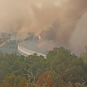 Βαρνάβας: Ανεξέλεγκτη η φωτιά – Εκκενώνονται Σταμάτα, Γραμματικό, Ροδόπολη και Μικροχώρι Ωρωπού