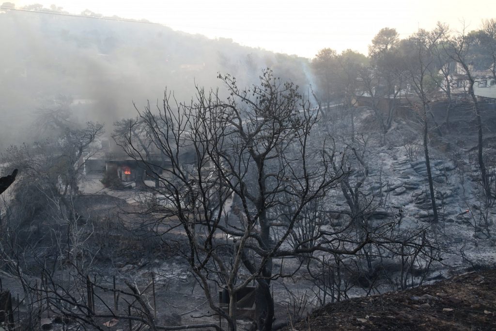 Φωτιά στην Αττική: 700.000 στρέμματα δάσους έγιναν στάχτη σε 8 χρόνια