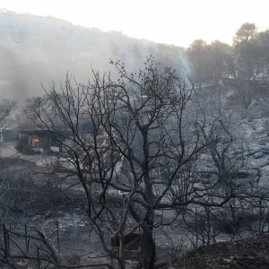 Φωτιά στην Αττική: 700.000 στρέμματα δάσους έγιναν στάχτη σε 8 χρόνια