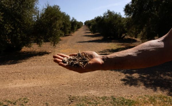 κλιματική κρίση