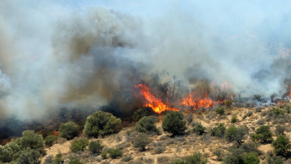 Φωτιά στην Αττική: Δωρεάν διέλευση από σταθμούς διοδίων για τη διευκόλυνση των πυρόπληκτων χρηστών