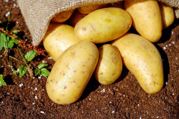 Naxos Potato Crisis: Drought and Poor Infrastructure Hit Production