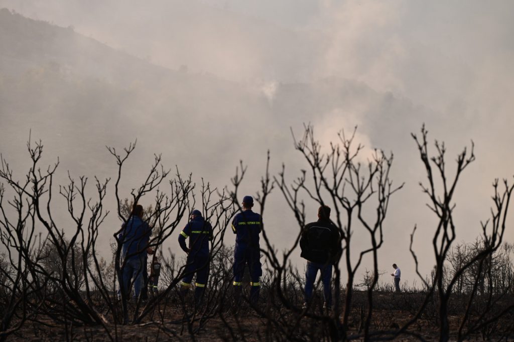 ΕΛΓΑ: Κλιμάκια στην πυρόπληκτη Κορινθία για αποτίμηση των ζημιών