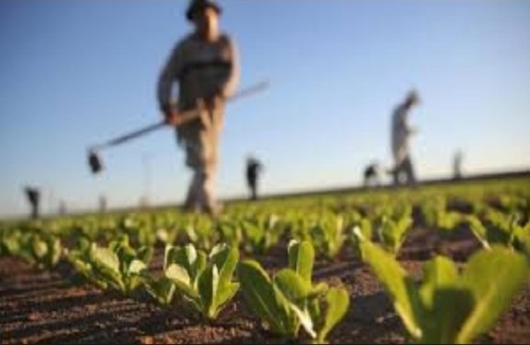 ΕΕ: Κατά 1,6% αυξήθηκε η παραγωγικότητα της αγροτικής εργασίας