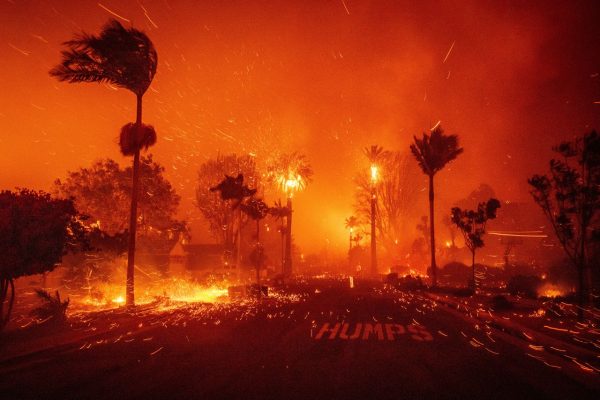 Λος Άντζελες: Στάχτη έγιναν πάνω από 2.000 κτίρια – «Δεν έχει μείνει τίποτα όρθιο»