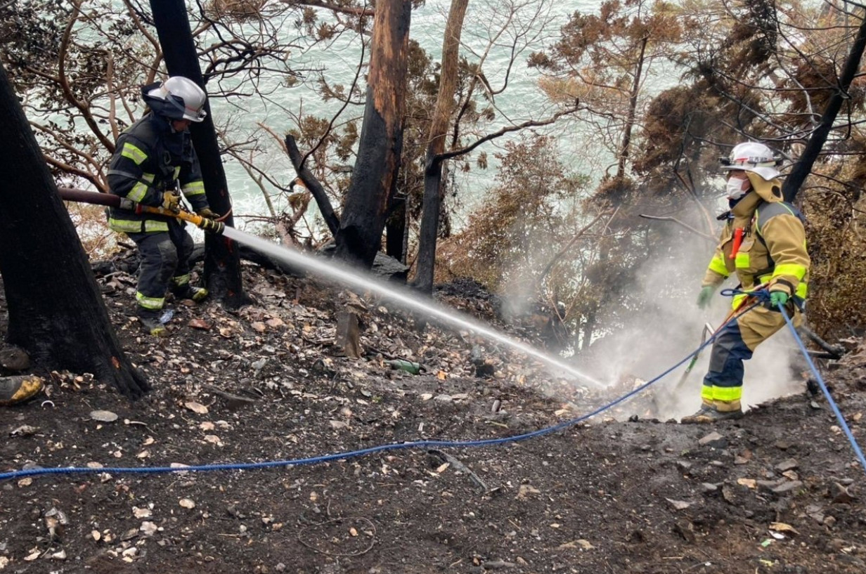 Ιαπωνία: Τέθηκε υπό έλεγχο η χειρότερη δασικών πυρκαγιά των τελευταίων 50 χρόνων